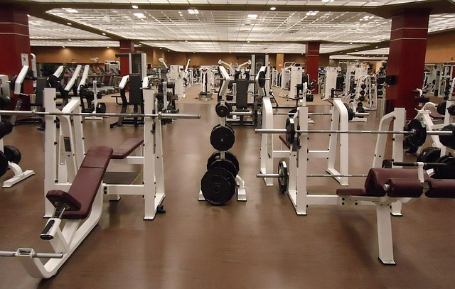 Fitness Equipment