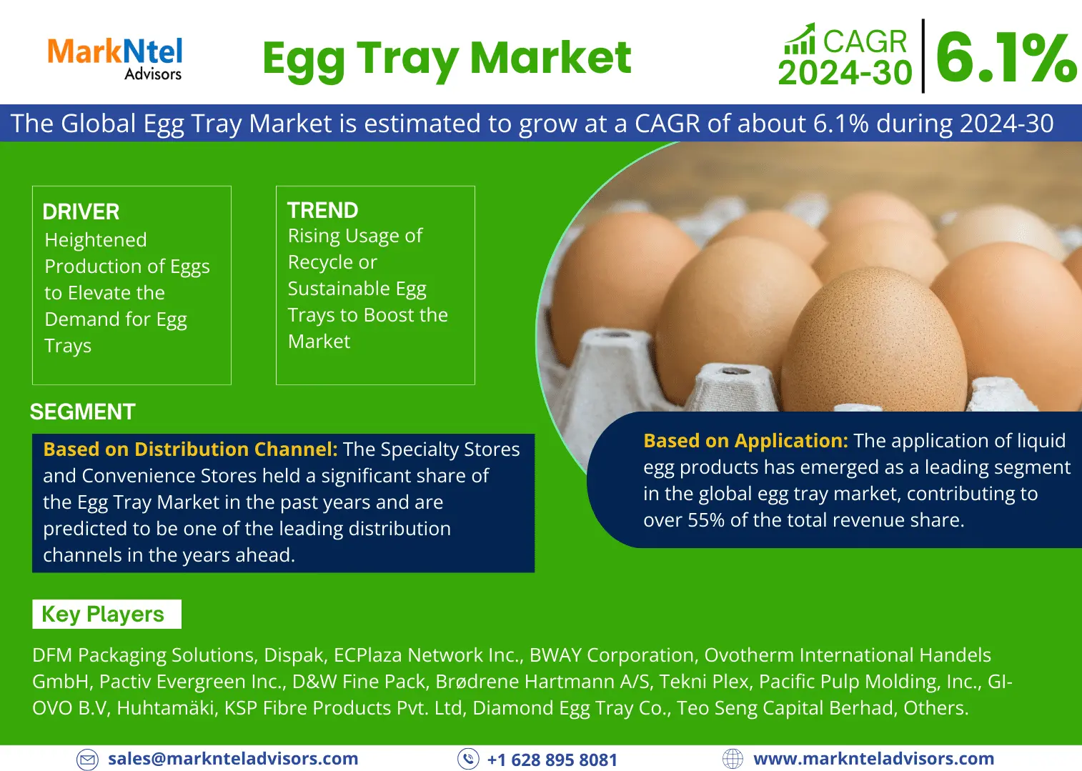 Egg Tray Market