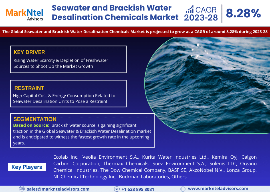 Global Seawater and Brackish Water Desalination Chemicals Market