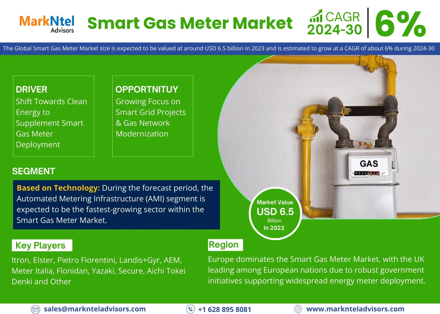 Global Smart Gas Meter Market