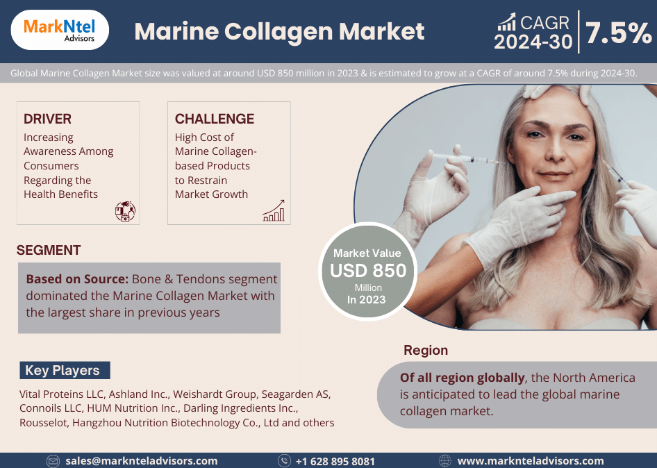 Marine Collagen Market, Marine Collagen Market Size, Marine Collagen Market Share, Marine Collagen Market Trends, Global Marine Collagen Market Report,