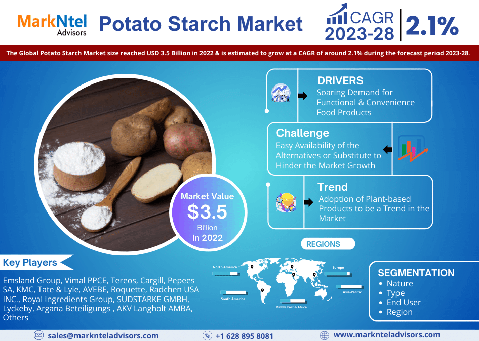 Potato Starch market