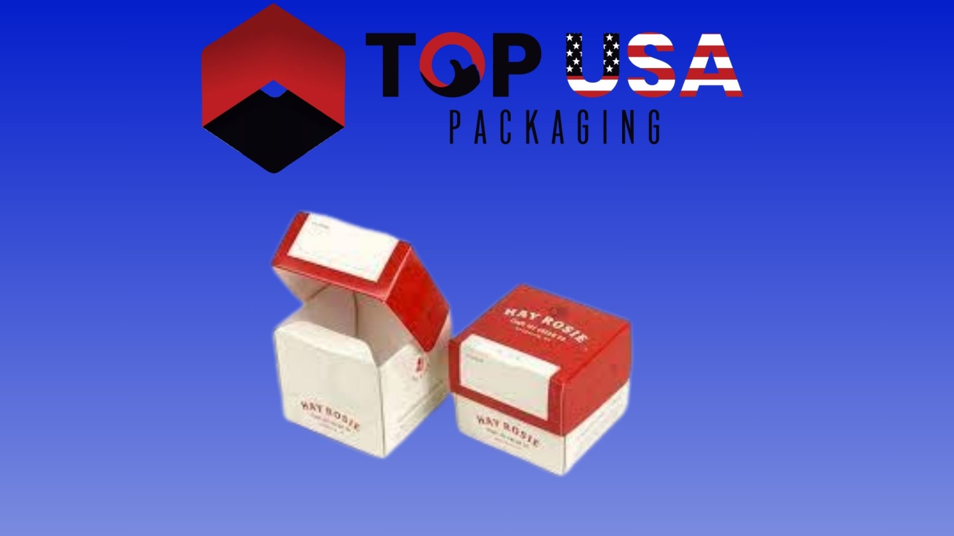 ice cream shipping packaging