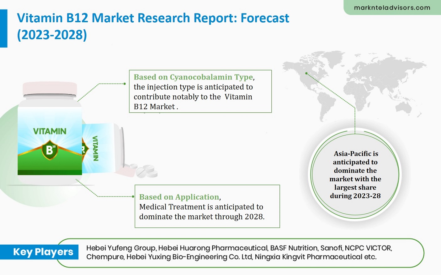 Vitamin B12 Market